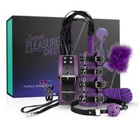 Secret Pleasure Chest Purple Apprentice 9 dalių violetinis BDSM pradedančiųjų rinkinys
