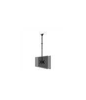 Neomounts CL35-340BL22 Dual Monitor/TV Mount Ceiling | Adjustable Height, Rotate, Tilt, Swivel | 23-42 " | Maximum weight (capac