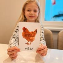 Lavinamųjų kortelių rinkinys „Ūkio gyvūnai“