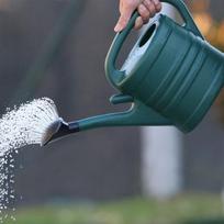 5L Plastikinis Laistytuvas Sodo Būtinas Laistytuvas Vidaus Lauko Lengvi Laistytuvai Laistytuvas Šeimos Sodininkystė Sodas žalia