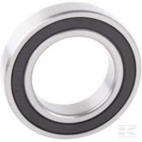 Gilaus griovelio rutulinis guolis 45x75x16mm INA/FAG 60092RS