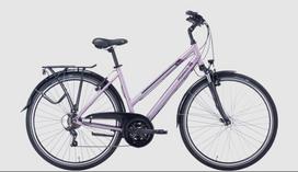 Dviratis 28 Pegasus Piazza 21g, violetinis, 45
