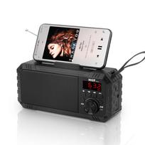 FM radijas Bluetooth 5.0 garsiakalbis nešiojamas mini radijas pagyvenusiems žmonėms HiFi TF/USB MP3 muzikos grotuvas palaiko įrašymą, ausines groti raudona