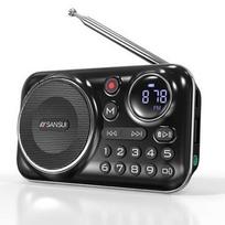 Nešiojamas Walkman FM radijas Lauko radijas pagyvenusiems žmonėms Bluetooth 5.0 garsiakalbis MP3 muzikos grotuvas palaiko įrašymo ausines juoda