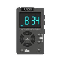 Nešiojamas mini radijo kišeninis AM FM skaitmeninis radijo stereo imtuvas automatinės paieškos kanalo įkraunama baterija TF kortelė MP3 muzikos grotuvas China pilka spalva