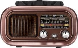 Vintage Radio Retro Bluetooth Speaker, 3 Bands Bluetooth AM FM Radio with Old Fashioned Classic Style, Multifunctional Portable Vintage Radio Speaker for Indoor and Outdoor (RXBT628)