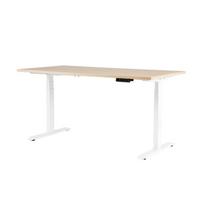 DEXO 3R reguliuojamo aukščio stalas: 1600x800x25mm ąžuolo spalvos stalviršis, baltas rėmas