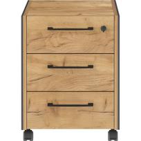 Antracito spalvos/natūralios spalvos spintelė iš ąžuolo 42x54x49 cm Podium – Germania