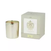 TIZIANA TERENZI Ursa CANDLE 170g