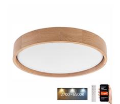 Brilagi - LED lubinis šviestuvas MANAROLA SMART LED/24W/230V su DO Tuya