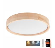 Brilagi - LED lubinis šviestuvas MANAROLA SMART LED/24W/230V su DO Tuya