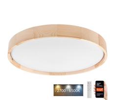 Brilagi MANAROLA SMART LED lubų šviestuvas 36W 230V su Tuya DO