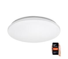 Rabalux 71036 - LED RGB reguliuojamas lubų šviestuvas CERRIGEN LED/48W/230V