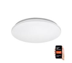 Rabalux 71035 - LED RGB reguliuojamas lubų šviestuvas CERRIGEN LED/24W/230V