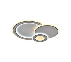 LED reguliuojamas lubų šviestuvas LED/40W/230V 3000-6500K su DO