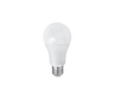 LED lemputė PITT A60 AC/DC E27/12W/24V 4000K