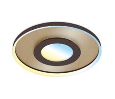 Briloner 3640017 - LED reguliuojamas lubų šviestuvas LED/25W/230V 2700-6500K + D