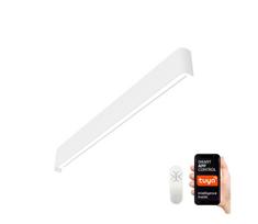 Immax NEO 07137-W - LED SMART reguliuojamas šviestuvas LINEA LED/40W/230V + DO 7