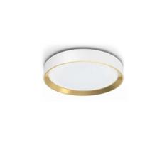 Philips HANNO LED 24W 230V 2700K reguliuojamas lubų šviestuvas, baltas
