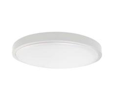 LED vonios lubų šviestuvas LED/24W/230V IP44 4000K pr. 29 cm baltas