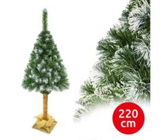 Kalėdinė pušis ant kamieno, 220 cm aukščio