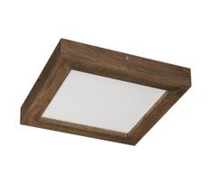 Brilagi-LED reguliuojamas šviestuvas WOODY FRAME LED/24W/230V 30x30 cm IP44 + DO