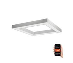Immax NEO 07240L - LED reguliuojamas lubų šviestuvas CANTO LED/60W/230V Tuya bal