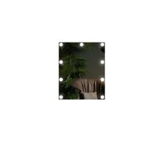 LED veidrodė su apšvietimu 9xLED/1W/230V 3000/4000/6000K 50x40 cm IP44