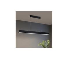 Brilagi - LED šviestuvas ant laido SLEEKLINE LED/40W/230V 3000/4500/6000K juodas