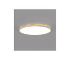 LED vonios lubų šviestuvas NIVERA LED/24W/230V IP54 pr. 30 cm baltas