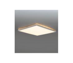 LED vonios lubų šviestuvas NIVERA LED/24W/230V IP54 30x30 cm baltas
