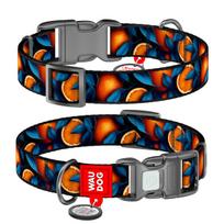 WAUDOG šuns antkaklis su QR pasu „Apelsinai“, plotis 15 mm, ilgis 25–35 cm