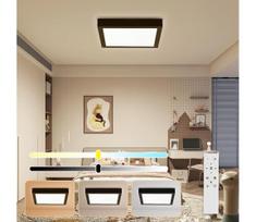 Brilagi - LED Dimmingas vonios šviestuvas FRAME SMART LED/24W/230V juodas + DO