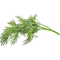 Click & Grow Smart Garden refill Dill 3pcs SGR49X3