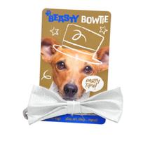 BEASTY BOWTIE blizgi peteliškė augintiniui