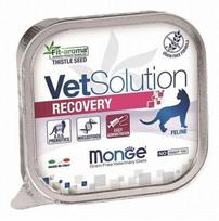 MONGE VetSolution Recovery šlapias maistas katėms 12×100 g