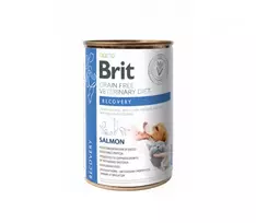 Brit GF Veterinary Diets konservai šunims ir katėms Recovery 6x400g