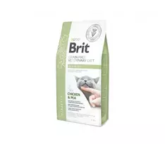 Brit GF Veterinary Diets Sausas maistas katėms, sergančioms diabetu 2 kg