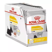 Royal Canin Dermacomfort konservai šunims 12 x 85 g