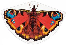 GUNTHER aitvaras Drugelis, 92x62 cm, 1103