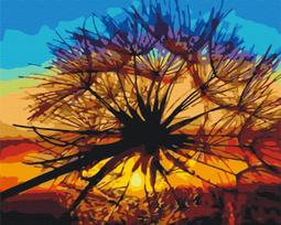 BRUSHME spalvinimo pagal skaičius rinkinys Dandelion at summer sunset, BS35667