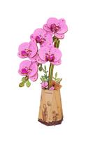 ROWOOD Medinis konstruktorius Violetinė orchidėja, TW091