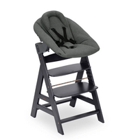 HAUCK maitinimo kėdutė ALPHA NEWBORN SET PLUS, Dark grey, 661512