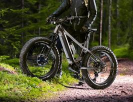 GZR Dominance 3.0 electric fatbike 19 (Dominance3_19)