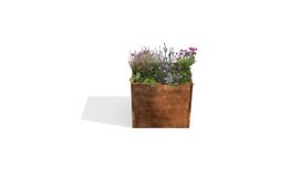 Vazonas Corten plieno  40x45x50cm