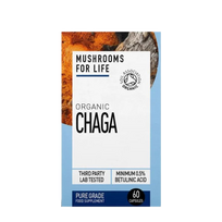 Maisto papildas „Organic Chaga”, N60