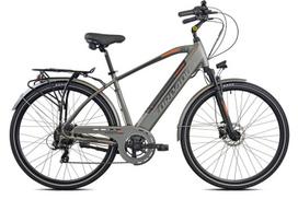Elektrinis dviratis Torpado Apollo T245A, pilkas