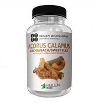 Pelkinio ajero šaknis (100 g), Acolus Kalmų šaknų milteliai, Heilen Biopharm