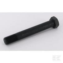 Šešiakampis varžtas M16x115 482438
