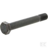 Šešiakampis varžtas M14x94 A50073500N